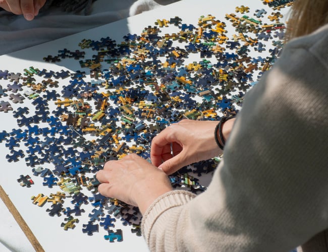 Puslespil mærke med unikke danske bymotiver (omsætning: 919.372 kr)