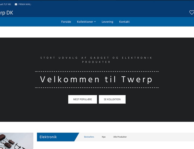 Dropshipping Webshop med 100 produkter 