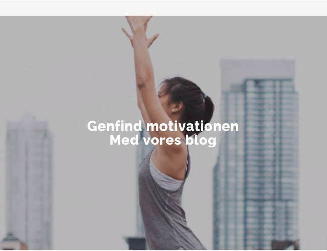 Køreklar dropshipping Webshop med alt klar til dig