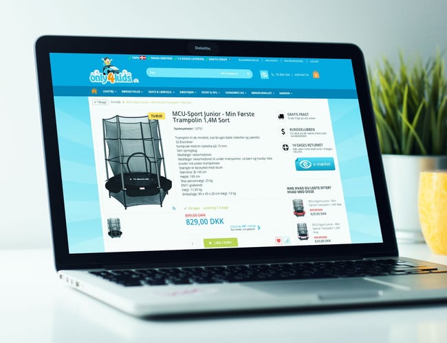 Dropshipping inden for legetøj og sportsudstyr. 2,5 mio omsætning og 65% organisk trafik