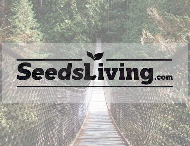 Webshop med bæredygtige og lokalproducerede varer - seedsliving.com 