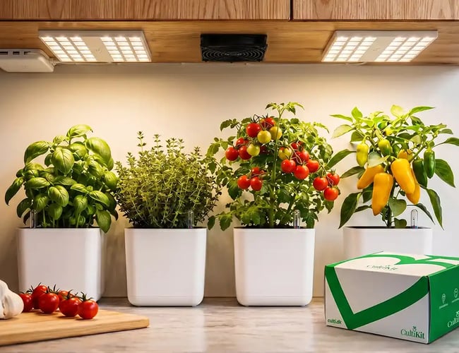 Aktiv kommerciel partner søges til dansk brand med internationalt potentiale