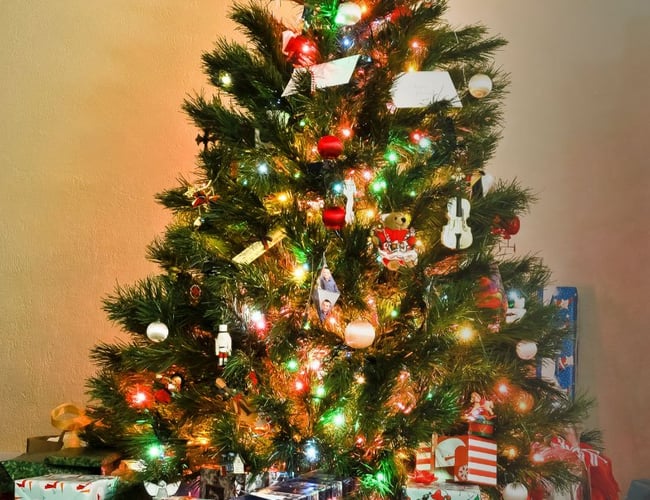 GiveATree  - en praktisk julegave til firmaer  