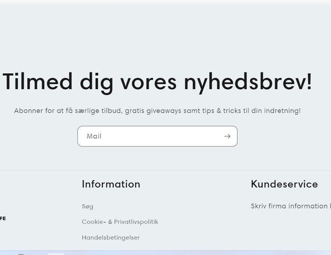 Professionel dropshipping webshop - udviklet af E-com+