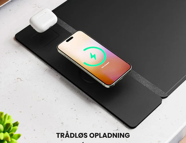 E-commerce mulighed | Domæne + webshop + 180 produkter
