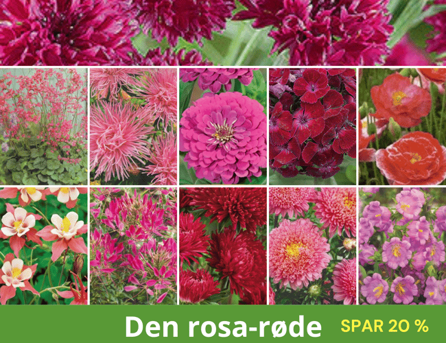 Webshop fra 2011 med stort kundekartotek