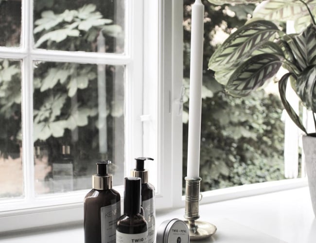 Abonnementstjeneste med kæmpe internationalt potentiale