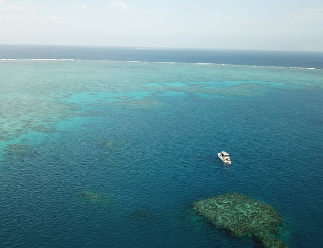 Dykkerbåd i "paradis" med plads til danske rejsegæster