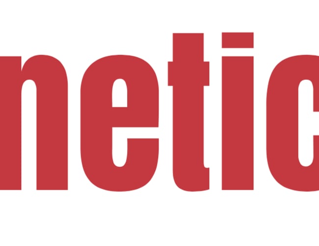 Salg af niche website