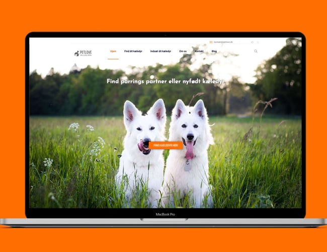Tinder for kæledyr - Parrings partner for kæledyr - Omtalt i bl.a. TV2 og Se og hør. 