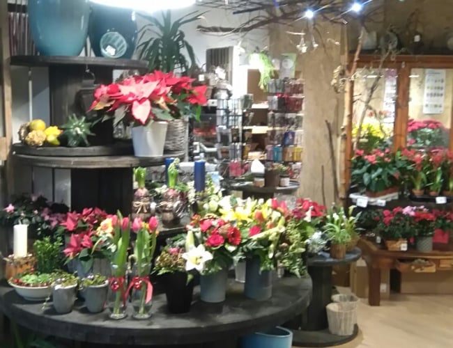 Blomsterbutik i Horsens Centrum - Hurtigt salg ønskes !