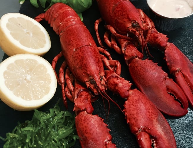 Danmarks billigste madklub & catering med 300 betalende medlemmer - ved handel før 1.4.2021 kan prisen handles