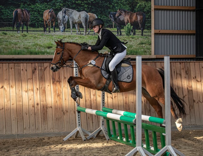 Ridetøjs webshop 4 år - Elgorre.dk - med eget brand