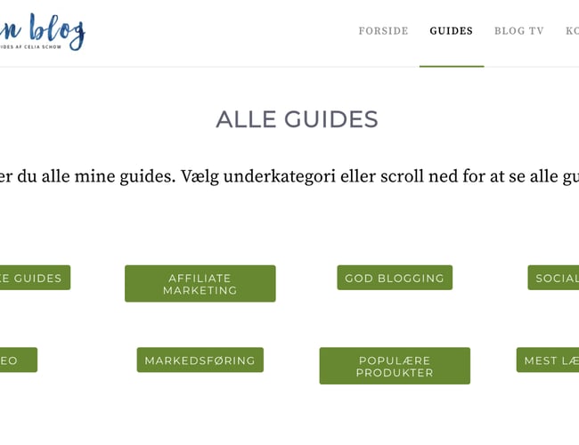 Lavenblog.dk -Danmarks førende platform for bloggere. - Overskud 79.000  kr. i 2018