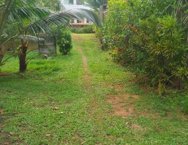 Hotel til salg på Sri Lanka