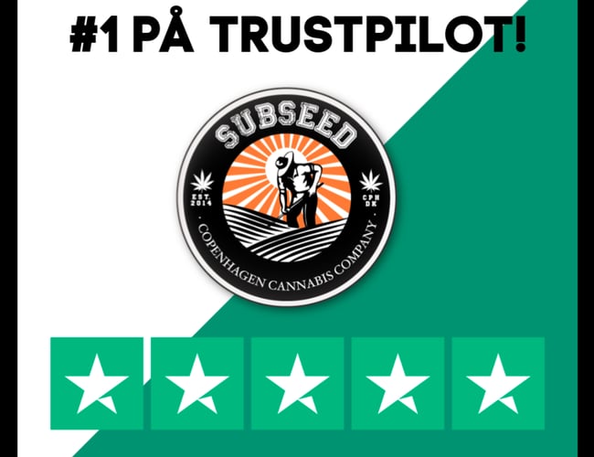 Dropshipping cannabis webshop indenfor cannabis frø - Omsat for 113.000 Netto i år