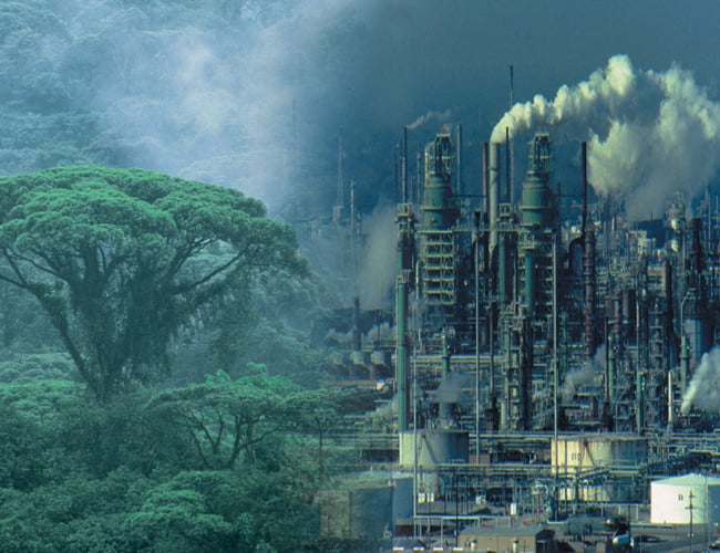 Unik økologisk forretning med enormt potentiale