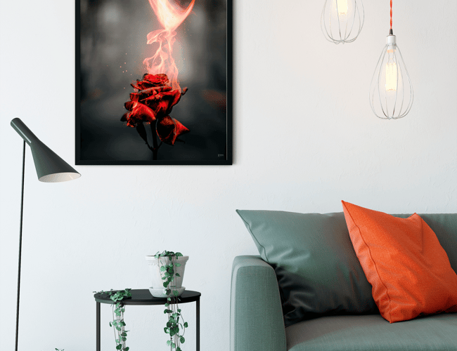 Partner/invester søges til plakat webshop