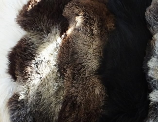 Webshop med salg af skindprodukter med omsætning på ca. 250.000-400.000 kr. per år.