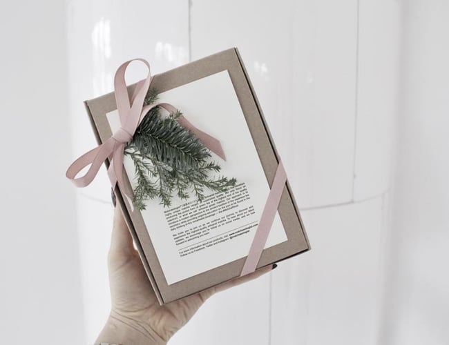 Abonnementstjeneste med kæmpe internationalt potentiale