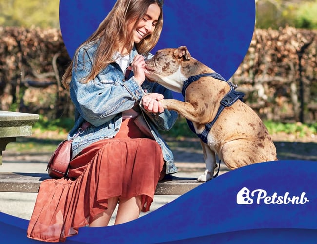 Petsbnb - en platform for pasning af kæledyr for dyreejere og dyrepassere