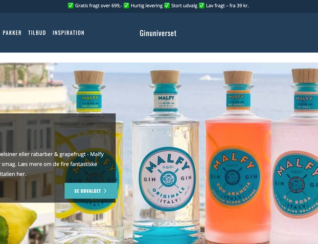 Gin webshop med stort potentiale og en omsætning på 315.000 kr.