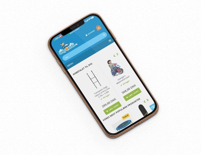 Dropshipping inden for legetøj og sportsudstyr. 2,5 mio omsætning og 65% organisk trafik