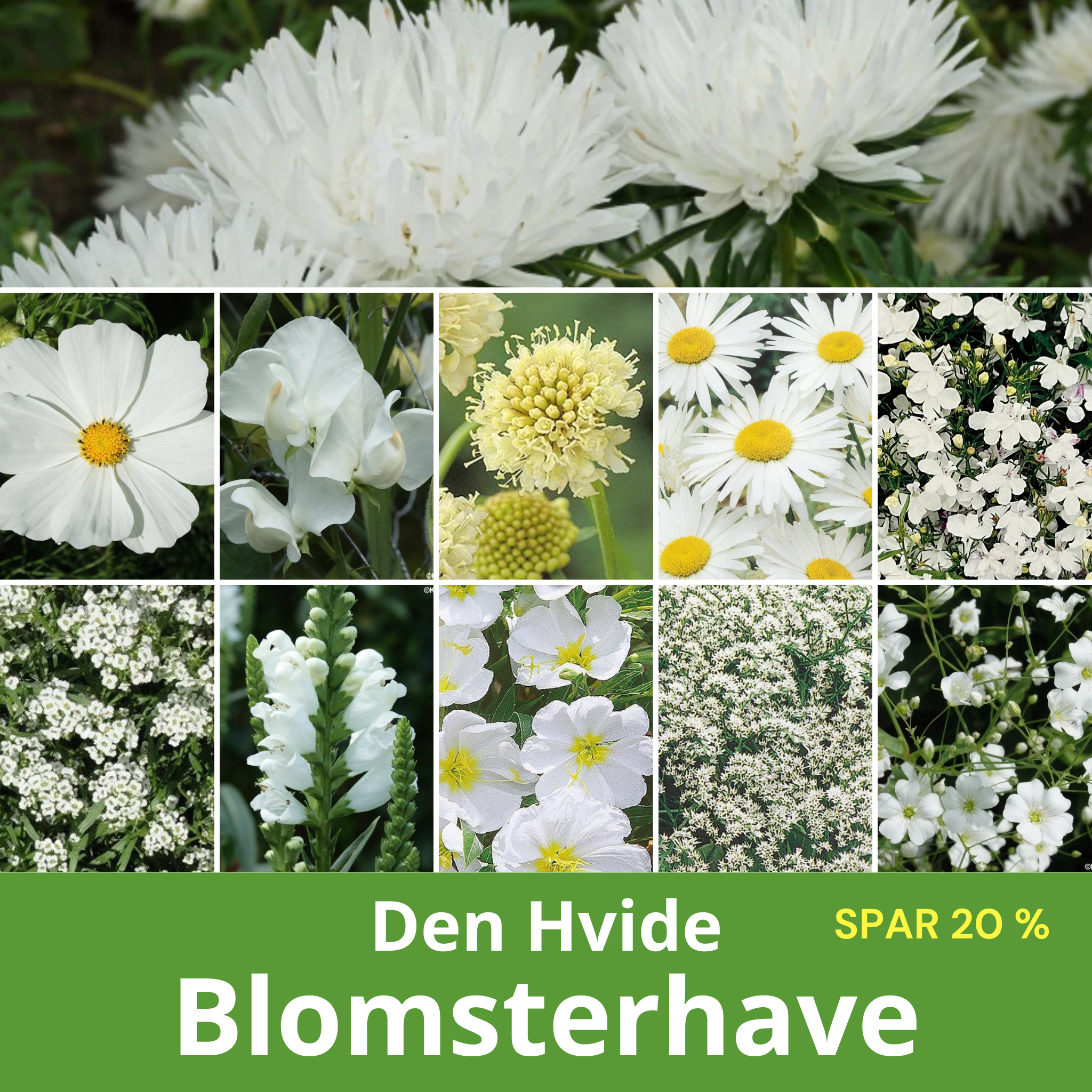 Webshop fra 2011 med stort kundekartotek