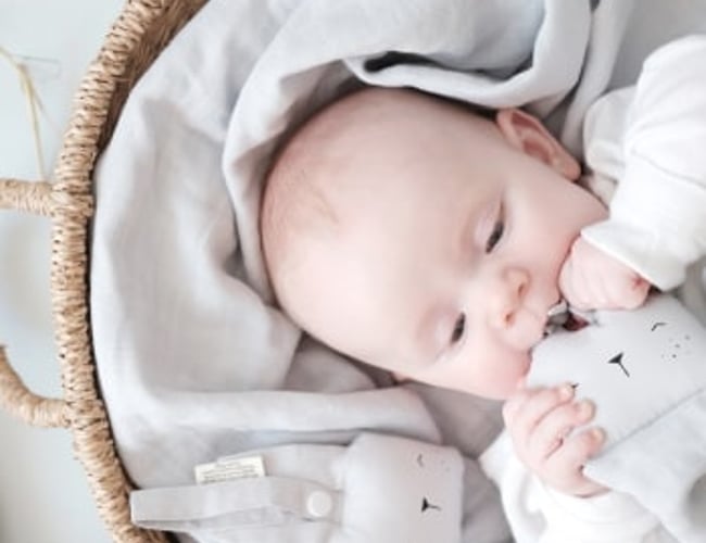 sicas.dk - Fuld integreret webshop vækst med et univers af interiør til mødre og børn