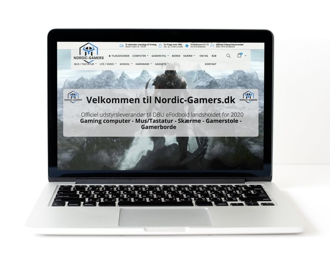 Gaming webshop med omsætning på 2.2 mio på 16 måneder