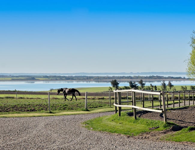 Idérig person søges! - Unik mulighed på ejendom