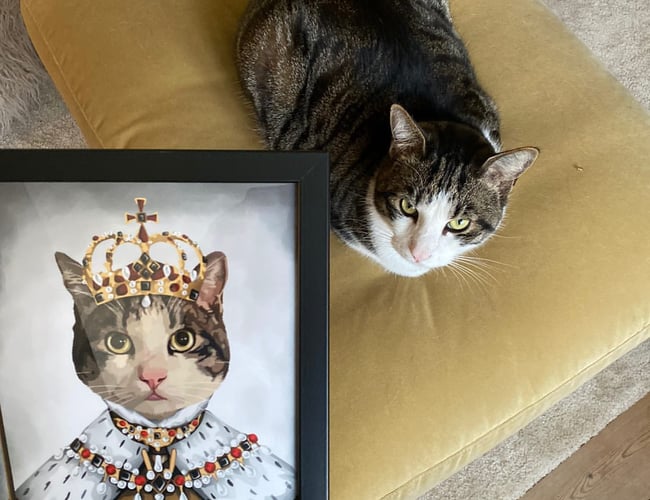 Sjovplakat.dk til salg.