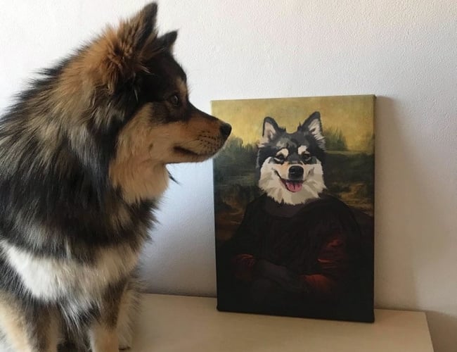 Sjovplakat.dk til salg.