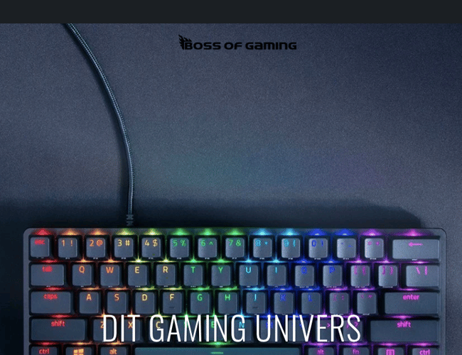 Køreklar dropshipping webshop med dag til dag levering!