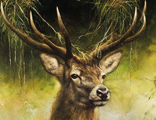 Webshop til et aktivt outdoor liv