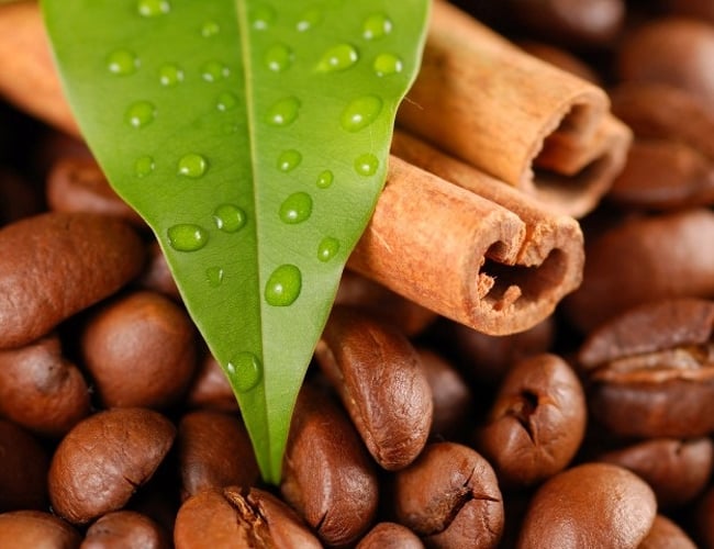 Salg og teknisk service på maskiner til kantiner og virksomheder