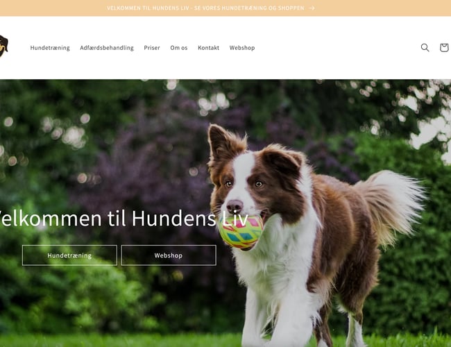 Hundetrænings virksomhed til salg med stort potentiale 