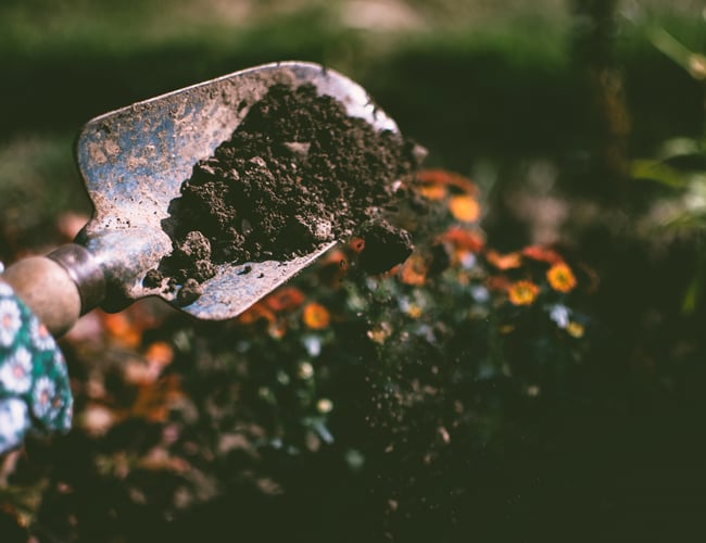 Webshop indenfor haveartikler med omsætning sælges