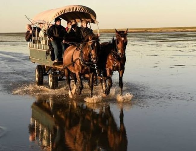 Mandø Event – helt sin egen og i kolossal udvikling Sælges til en ny generation af passionerede outdoor mennesker