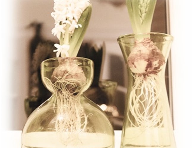 NU TIL SPOT PRIS!!! Eksklusiv lagerbeholdning med massere af flot interiør og en gratis specieldesignet Magento Webshop