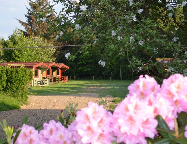 Brænderiet Limfjorden