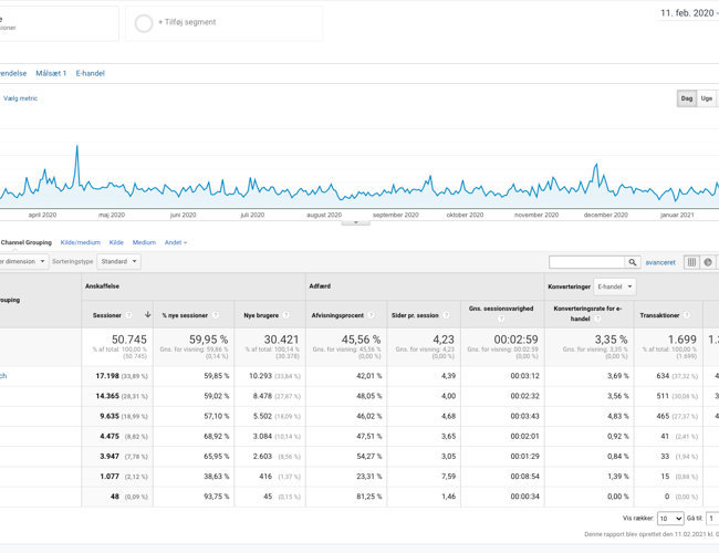 Webshop - Hair extensions & hårpleje - Omsætning: 1.450.000 kr.