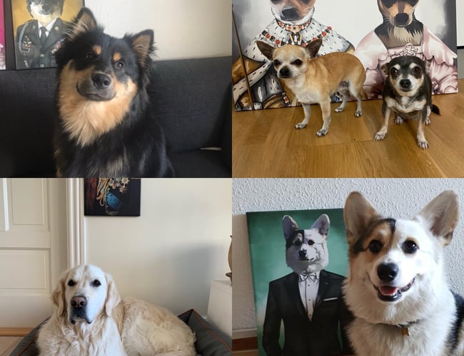 Partner søges til sjovplakat
