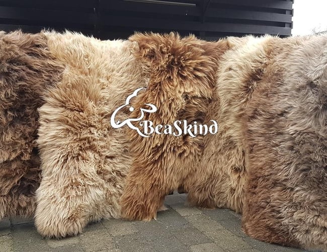 Webshop med salg af skindprodukter med omsætning på ca. 250.000-400.000 kr. per år.