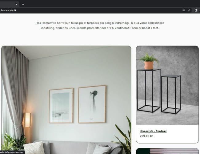HOMESTYLE l 100% køreklar dropshipping hjemmeside til salg