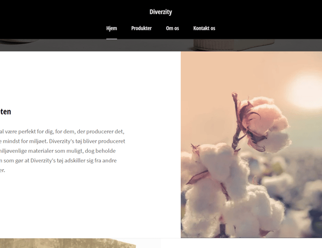 Diverzity - Tøjbrand til salg - inventar og varelager inkluderet