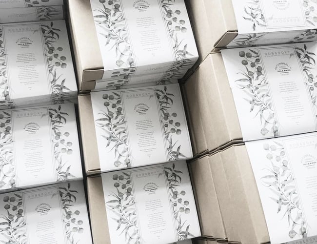 Abonnementstjeneste med kæmpe internationalt potentiale