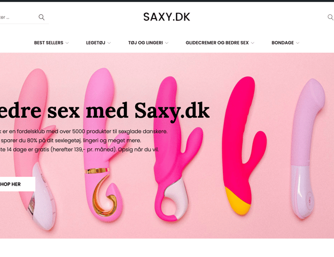 Økonomisk partner søges til E-commerce case