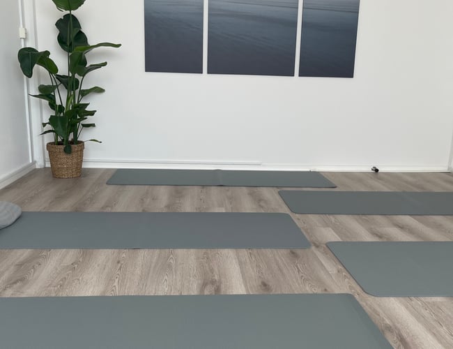 Klinik med cryoterapi og infrarød sauna sælges