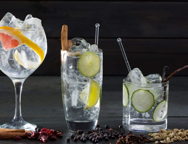 Velfungerende gin og tonic webshop med flotte tal, et uforløst potentiale og gode udviklingsmuligheder